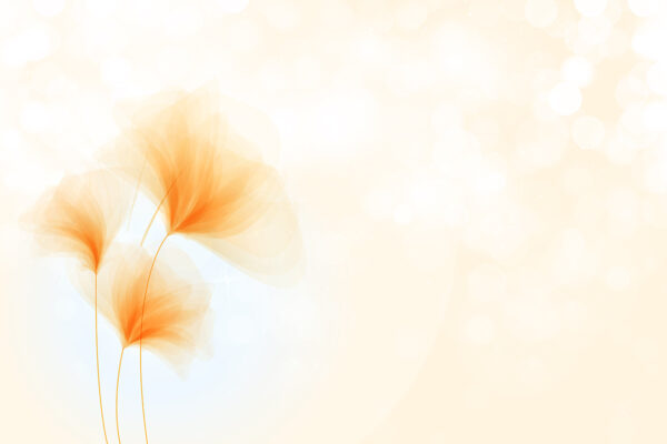 Romantic Dream Wallpaper - Image 4